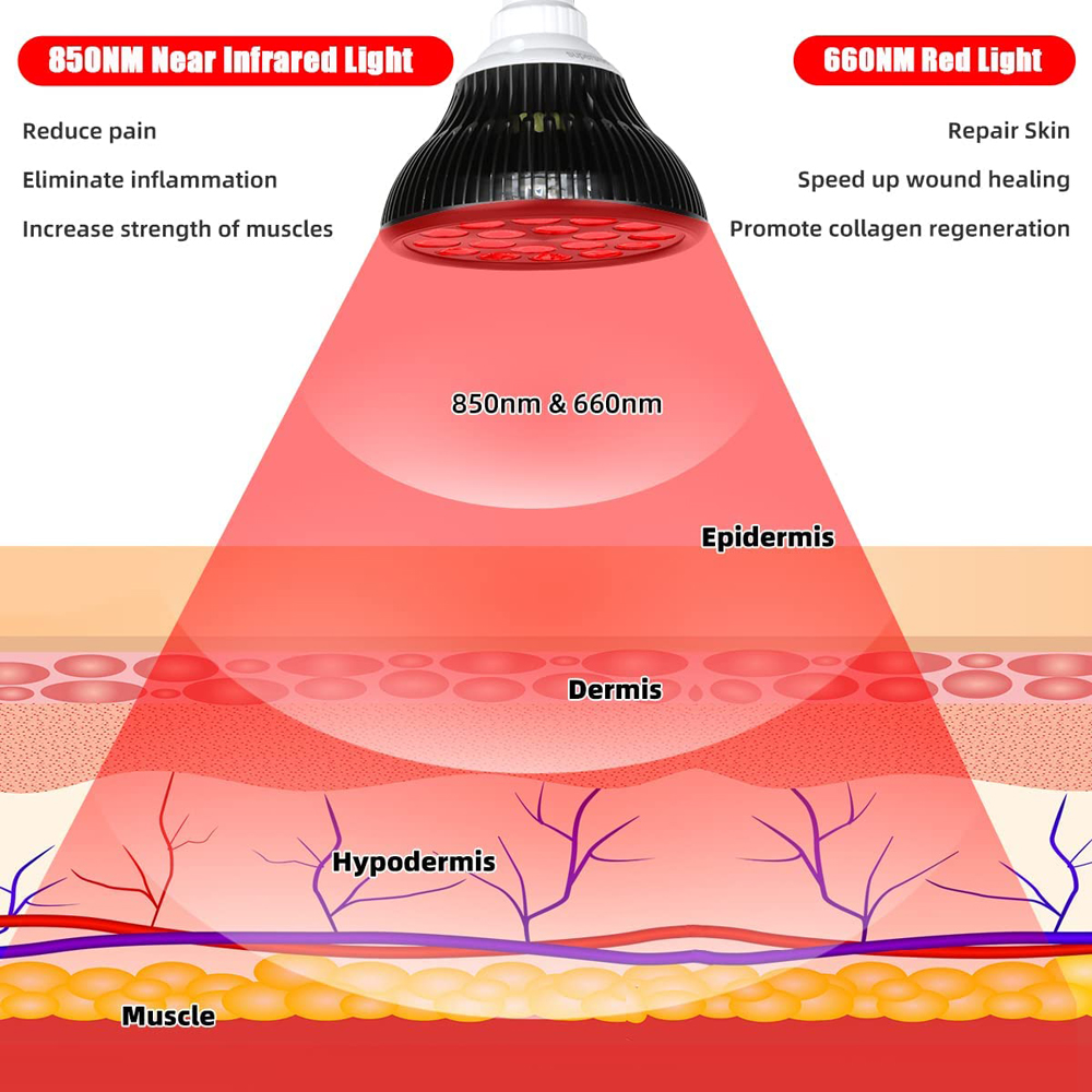 54W 660nm&850nm LED Red and In - Galvanic Skin Sensor บทวิจารณ์และราคา